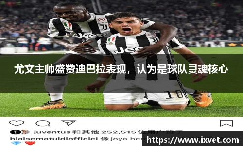 博鱼.体育官网
