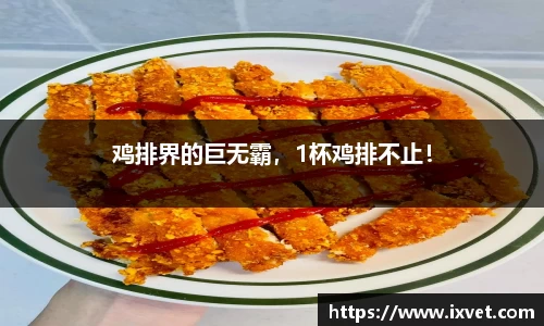 博鱼中国官方网站