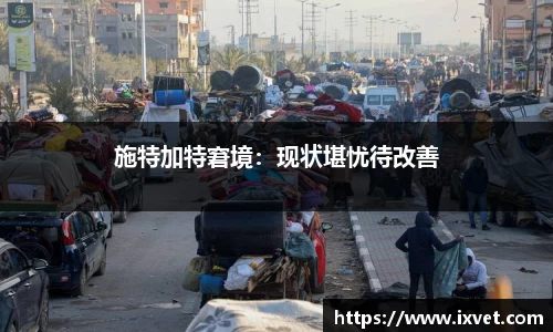 博鱼中国官方网站