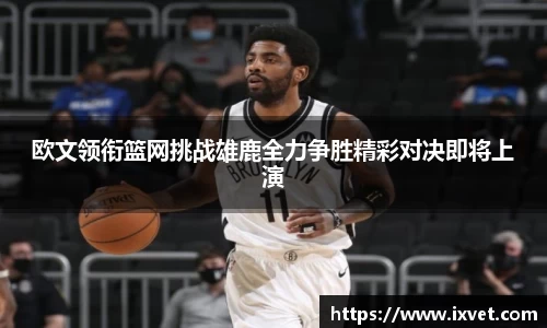 博鱼.体育官网